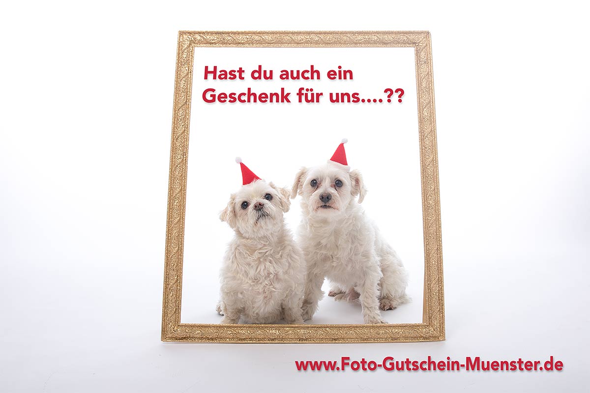 Fotograf Münster - Geschenkgutschein für Fotos