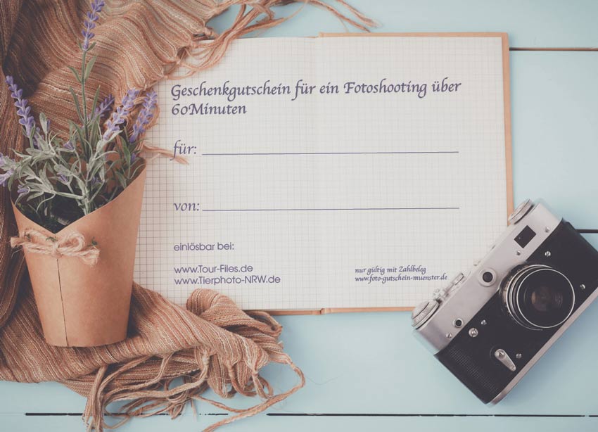 Gutschein Fotoshooting